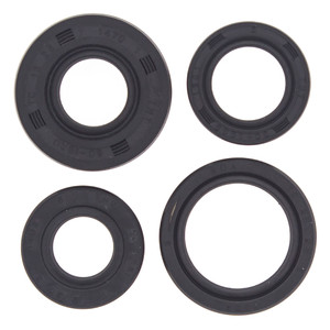 OIL SEAL KIT 822168
